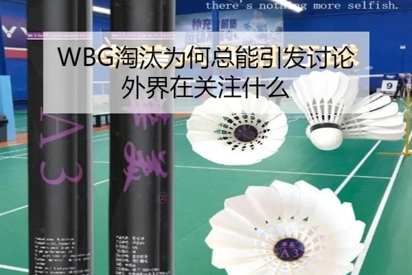 WBG淘汰为何总能引发讨论 外界在关注什么